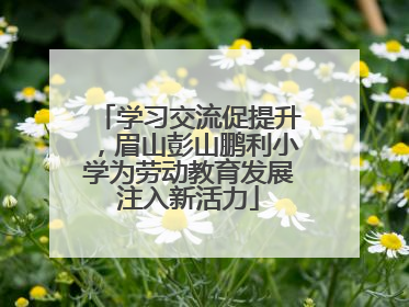 学习交流促提升，眉山彭山鹏利小学为劳动教育发展注入新活力