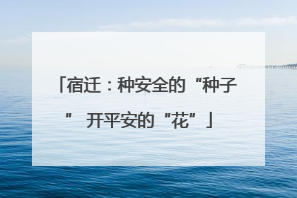 宿迁：种安全的“种子” 开平安的“花”