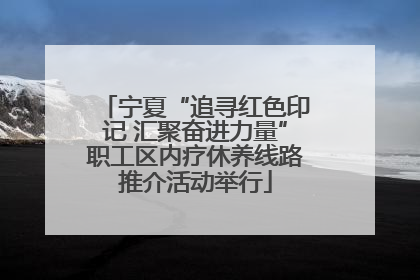 宁夏“追寻红色印记 汇聚奋进力量”职工区内疗休养线路推介活动举行
