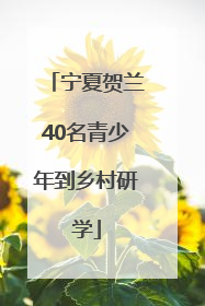 宁夏贺兰40名青少年到乡村研学