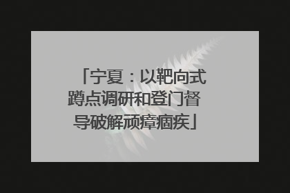 宁夏：以靶向式蹲点调研和登门督导破解顽瘴痼疾