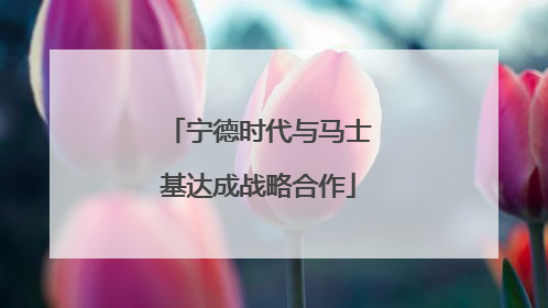 宁德时代与马士基达成战略合作