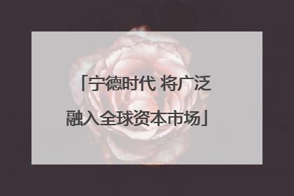 宁德时代 将广泛融入全球资本市场