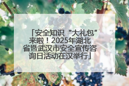 安全知识“大礼包”来啦！2025年湖北省暨武汉市安全宣传咨询日活动在汉举行