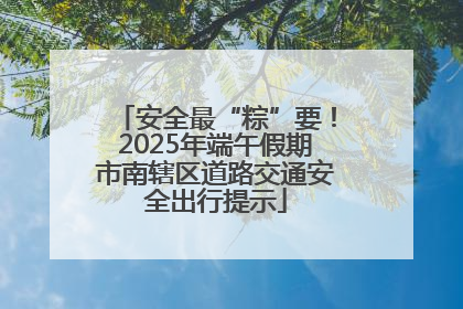 安全最“粽”要！2025年端午假期市南辖区道路交通安全出行提示