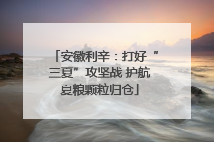 安徽利辛：打好“三夏”攻坚战 护航夏粮颗粒归仓