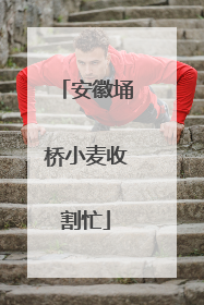 安徽埇桥小麦收割忙