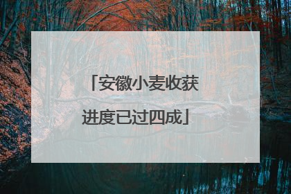 安徽小麦收获进度已过四成
