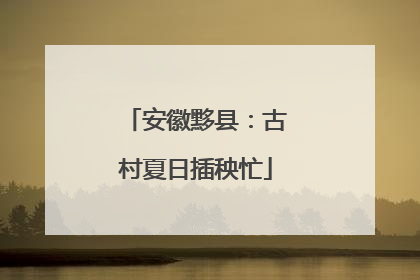 安徽黟县：古村夏日插秧忙