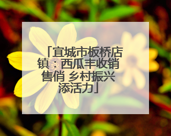 宜城市板桥店镇：西瓜丰收销售俏 乡村振兴添活力