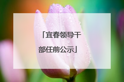 宜春领导干部任前公示