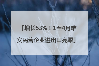 增长53%！1至4月雄安民营企业进出口亮眼