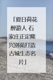 夏日荷花醉游人 石家庄正定隆兴别苑打造古城生态名片