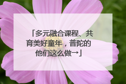 多元融合课程、共育美好童年，普陀的他们这么做→