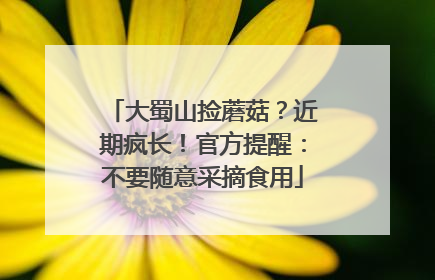 大蜀山捡蘑菇？近期疯长！官方提醒：不要随意采摘食用