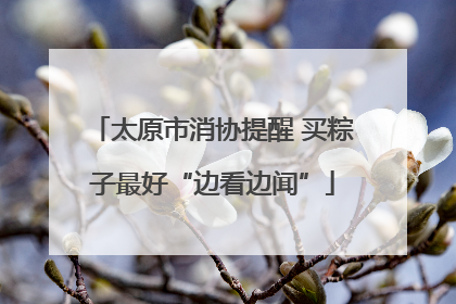 太原市消协提醒 买粽子最好“边看边闻”
