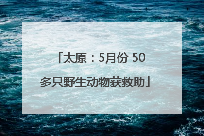 太原：5月份 50多只野生动物获救助