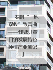 奏响“一地双收”致富曲——鄄城县董口镇发展特色种植产业侧记