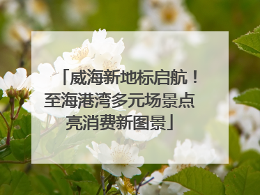 威海新地标启航！至海港湾多元场景点亮消费新图景