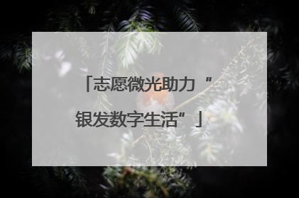 志愿微光助力“银发数字生活”
