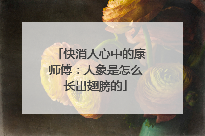 快消人心中的康师傅：大象是怎么长出翅膀的