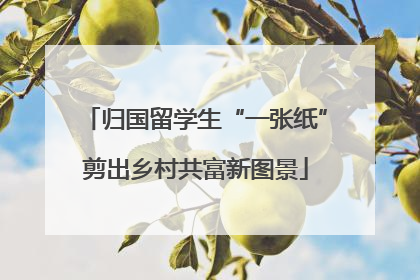 归国留学生“一张纸”剪出乡村共富新图景