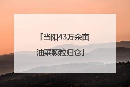 当阳43万余亩油菜颗粒归仓