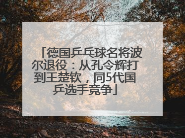 德国乒乓球名将波尔退役：从孔令辉打到王楚钦，同5代国乒选手竞争