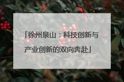 徐州泉山：科技创新与产业创新的双向奔赴