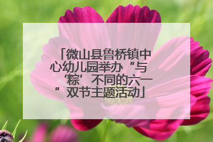 微山县鲁桥镇中心幼儿园举办“与‘粽’不同的六一”双节主题活动