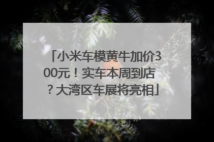 小米车模黄牛加价300元！实车本周到店？大湾区车展将亮相