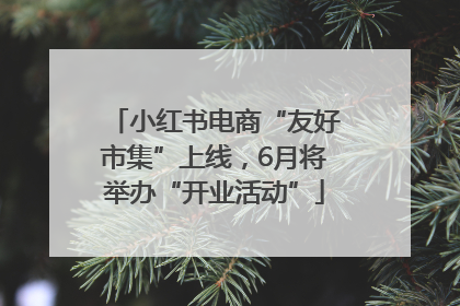 小红书电商“友好市集”上线，6月将举办“开业活动”
