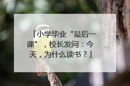 小学毕业“最后一课”，校长发问：今天，为什么读书？