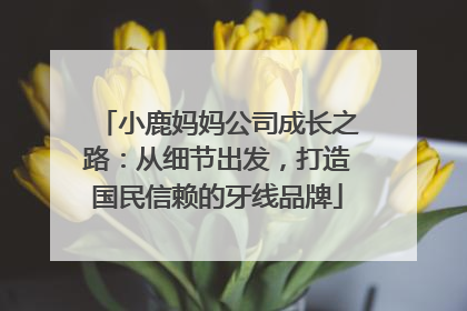 小鹿妈妈公司成长之路：从细节出发，打造国民信赖的牙线品牌