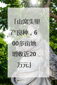 山窝头里产良种，600多亩地增收近20万元