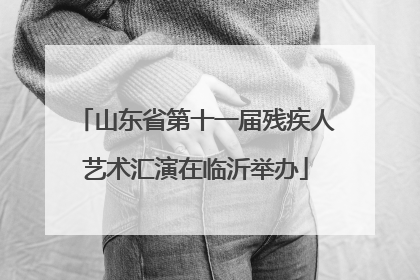 山东省第十一届残疾人艺术汇演在临沂举办