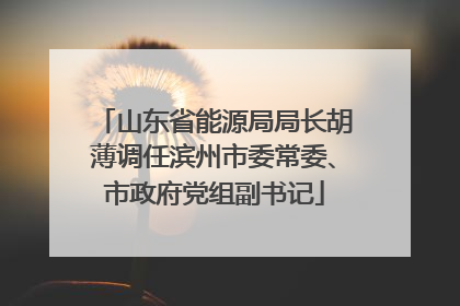 山东省能源局局长胡薄调任滨州市委常委、市政府党组副书记