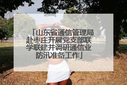 山东省通信管理局赴枣庄开展党支部联学联建并调研通信业防汛准备工作