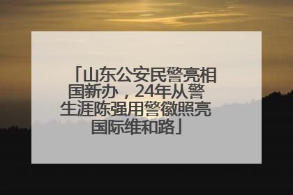 山东公安民警亮相国新办，24年从警生涯陈强用警徽照亮国际维和路