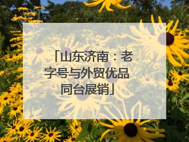 山东济南：老字号与外贸优品同台展销