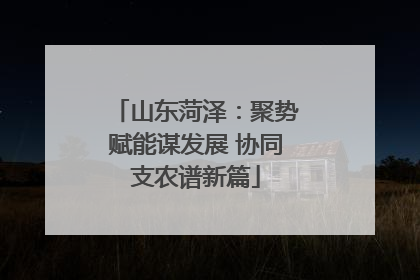 山东菏泽：聚势赋能谋发展 协同支农谱新篇
