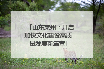 山东莱州：开启加快文化建设高质量发展新篇章