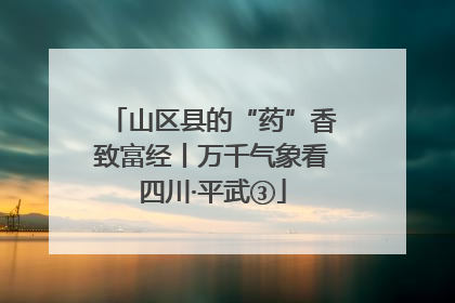 山区县的“药”香致富经丨万千气象看四川·平武③