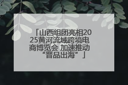山西组团亮相2025黄河流域跨境电商博览会 加速推动“晋品出海”