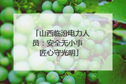 山西临汾电力人员：安全无小事 匠心守光明