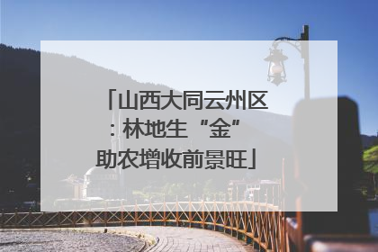 山西大同云州区：林地生“金” 助农增收前景旺
