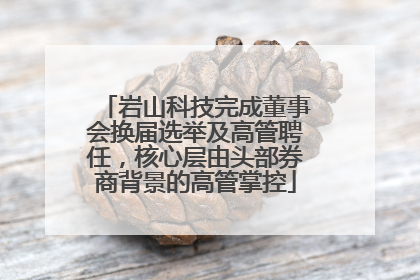 岩山科技完成董事会换届选举及高管聘任，核心层由头部券商背景的高管掌控