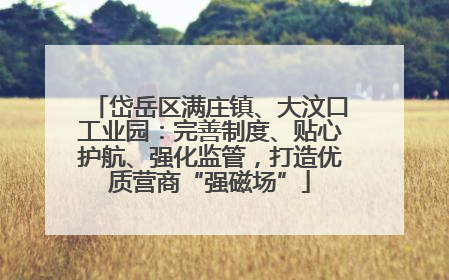 岱岳区满庄镇、大汶口工业园：完善制度、贴心护航、强化监管，打造优质营商“强磁场”