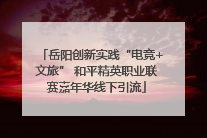 岳阳创新实践“电竞+文旅” 和平精英职业联赛嘉年华线下引流