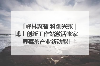 峰林聚智 科创兴张｜博士创新工作站激活张家界莓茶产业新动能